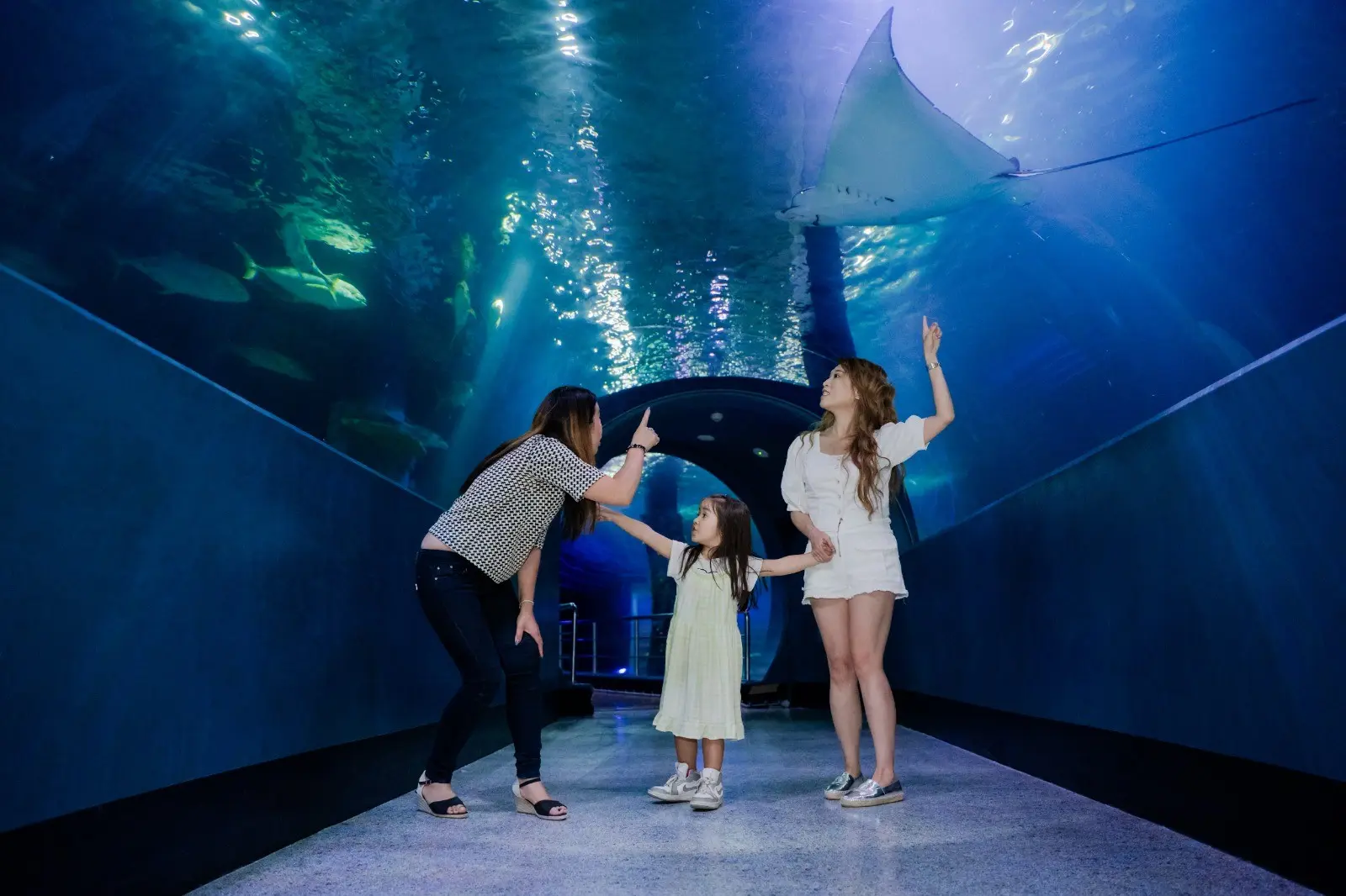 SEA LIFE Melbourne in Melbourne