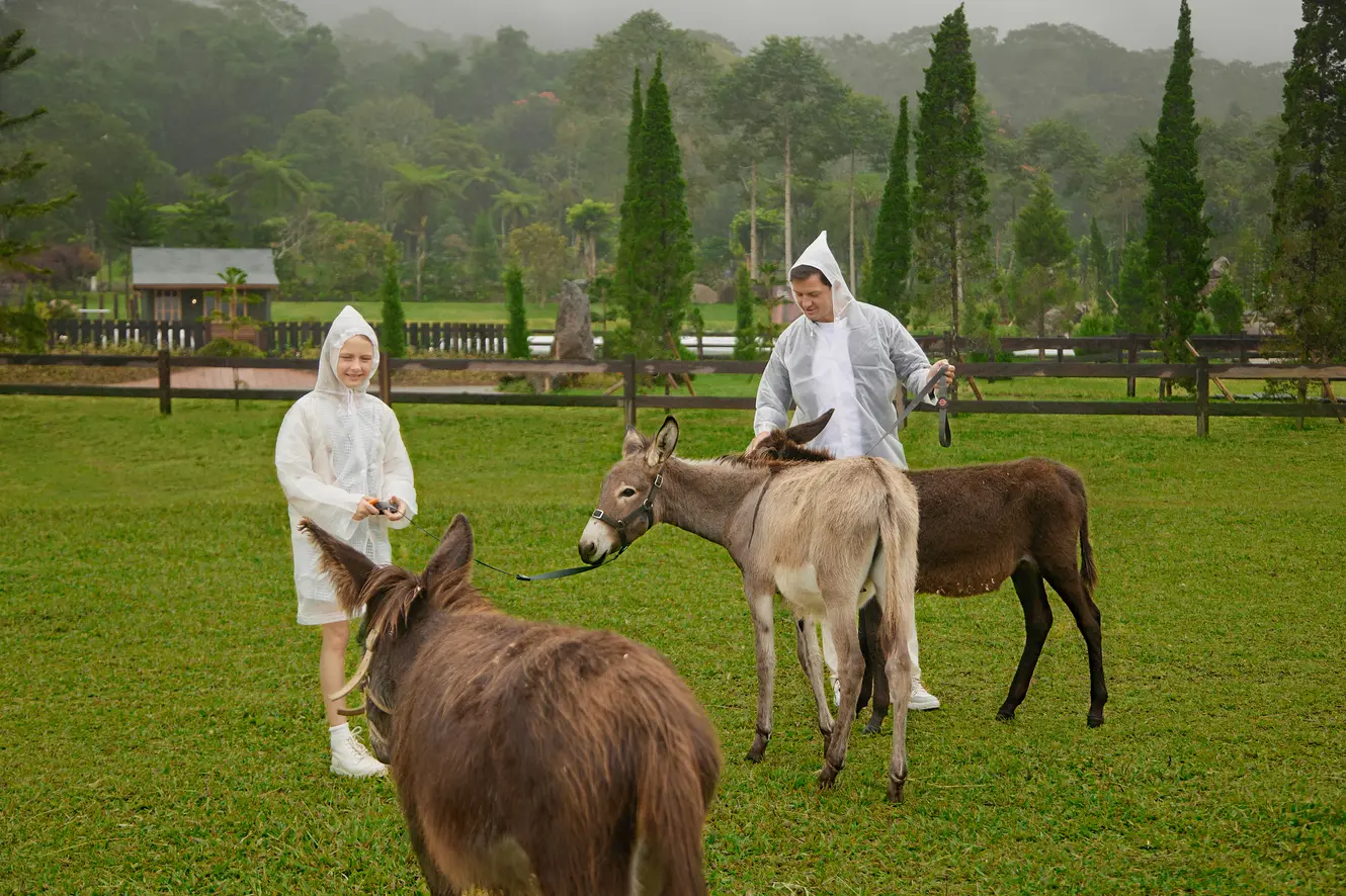 Bali Farm House Activity Bali Farm House Activity in Bali - Photo 9