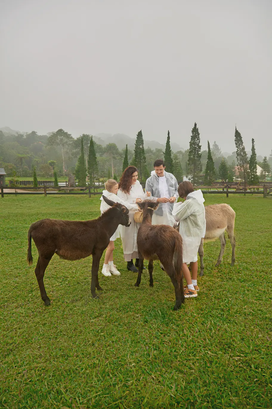 Bali Farm House Activity Bali Farm House Activity in Bali - Photo 11