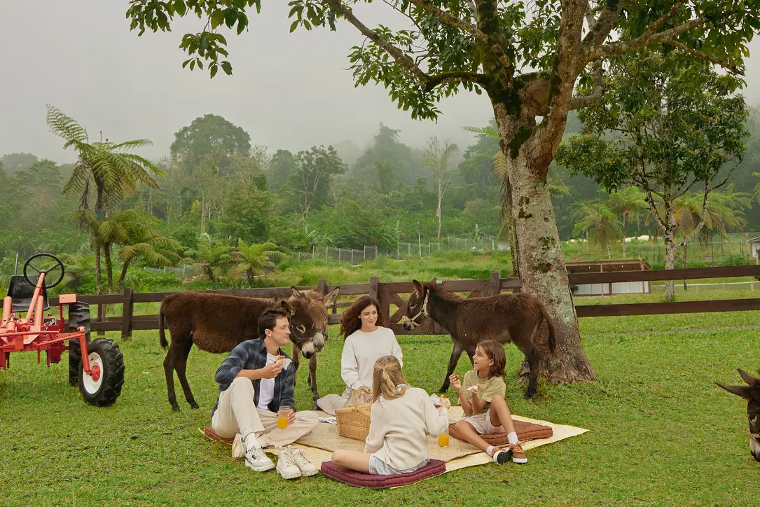 Bali Farm House Activity in Bali