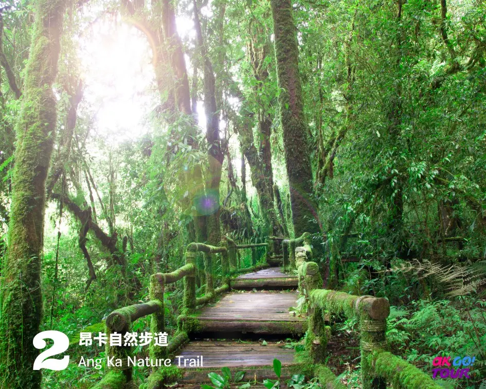 Chiang Mai : Doi Inthanon National Park One Day Tour in Chiang Mai - Photo 3