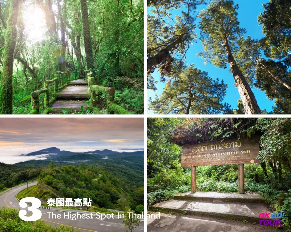 Chiang Mai : Doi Inthanon National Park One Day Tour in Chiang Mai - Photo 4