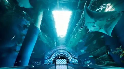 Maxell Aqua Park Shinagawa in Tokyo - Photo 4