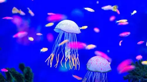 Maxell Aqua Park Shinagawa in Tokyo - Photo 6