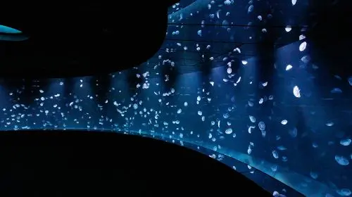 Sunshine Aquarium in Tokyo - Photo 6