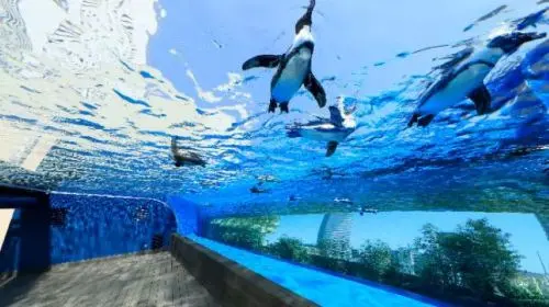 Sunshine Aquarium in Tokyo