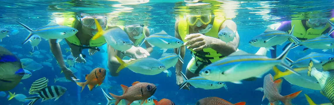 Adventure Cove Waterpark™ in Singapore - Photo 7