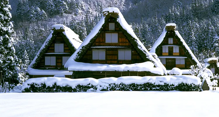 Jr Central-West Takayama-Hokuriku Area Tourist Pass in Tokyo