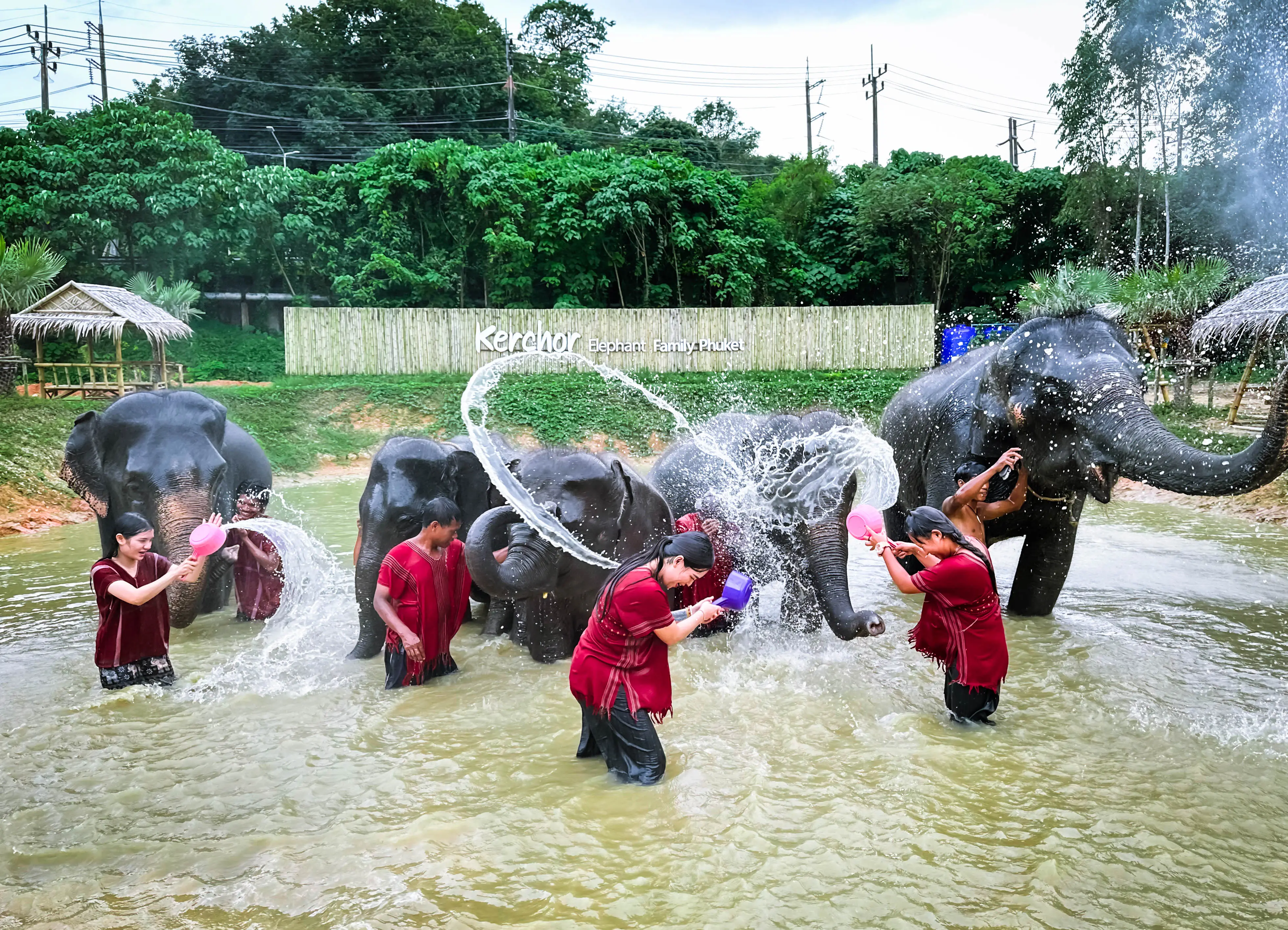 Kerchor Elephant Family Phuket in Phuket - Photo 2