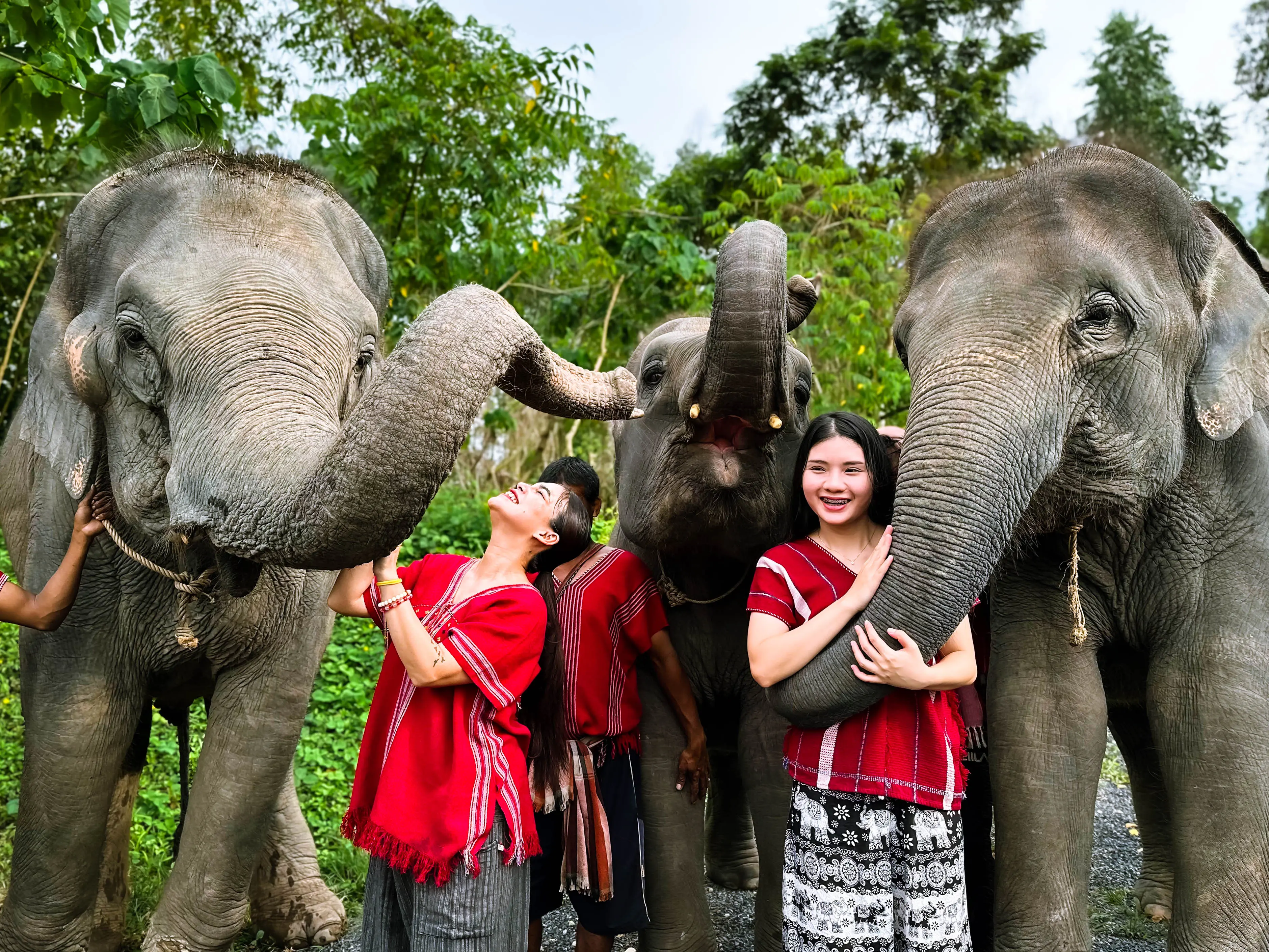 Kerchor Elephant Family Phuket in Phuket - Photo 4
