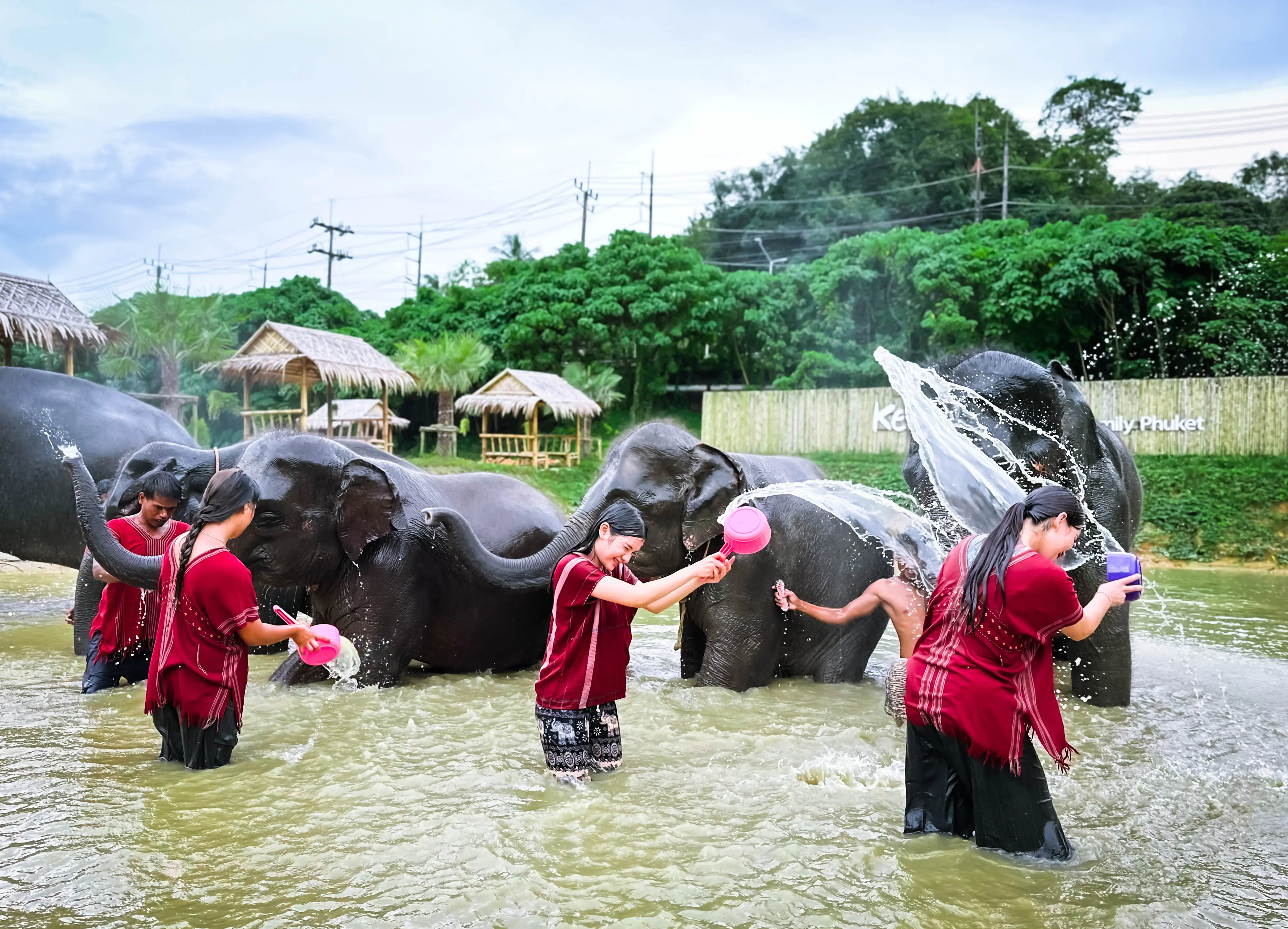 Kerchor Elephant Family Phuket in Phuket - Photo 6