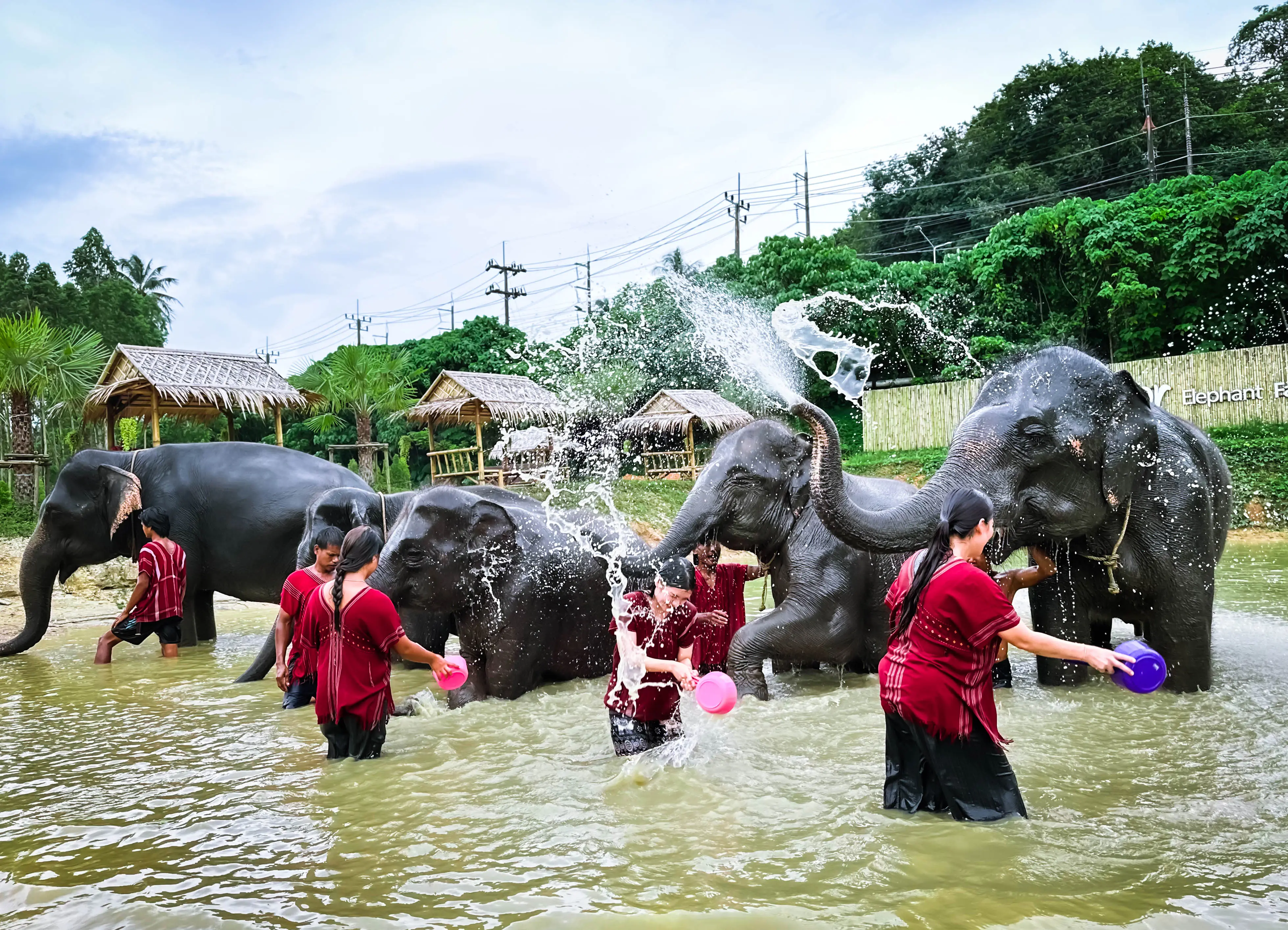 Kerchor Elephant Family Phuket in Phuket - Photo 8