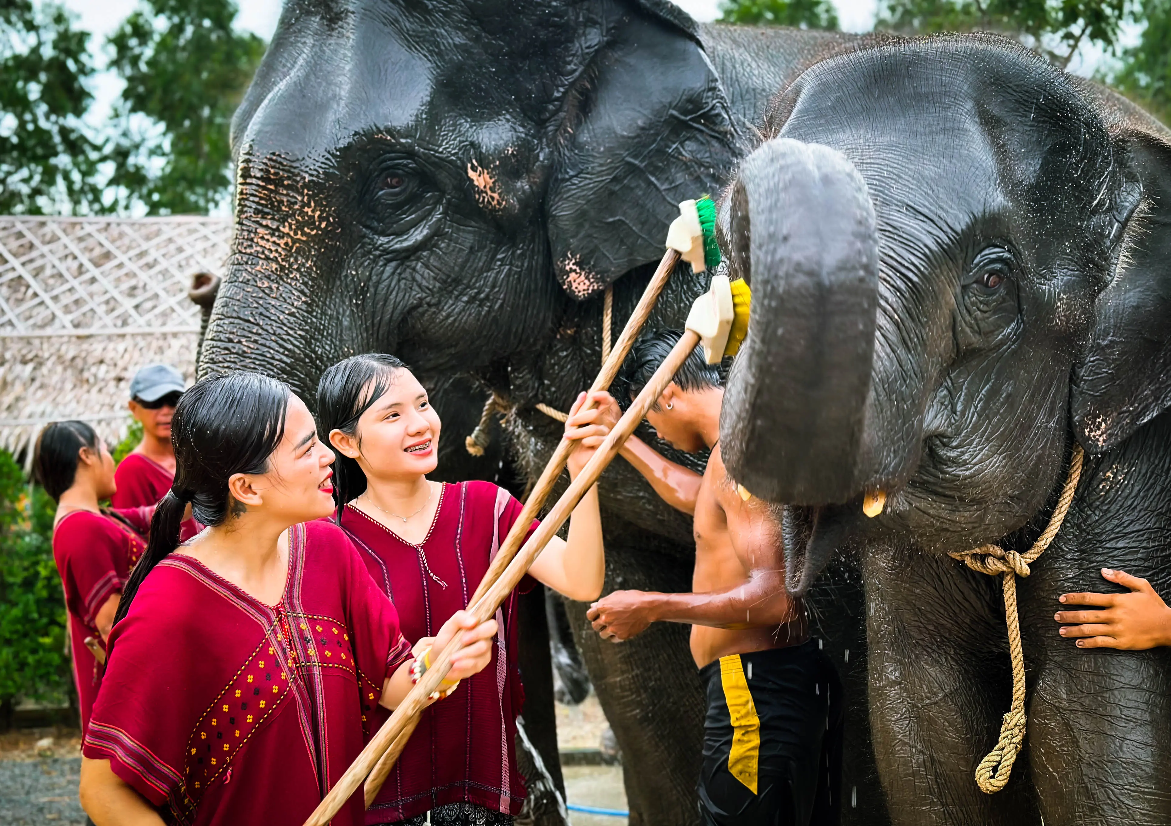Kerchor Elephant Family Phuket in Phuket - Photo 11