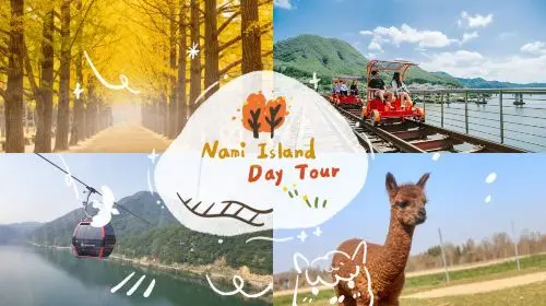 Nami Island and Chuncheon Samyuk Mountain Lake Cable Car Day Tour in Seoul