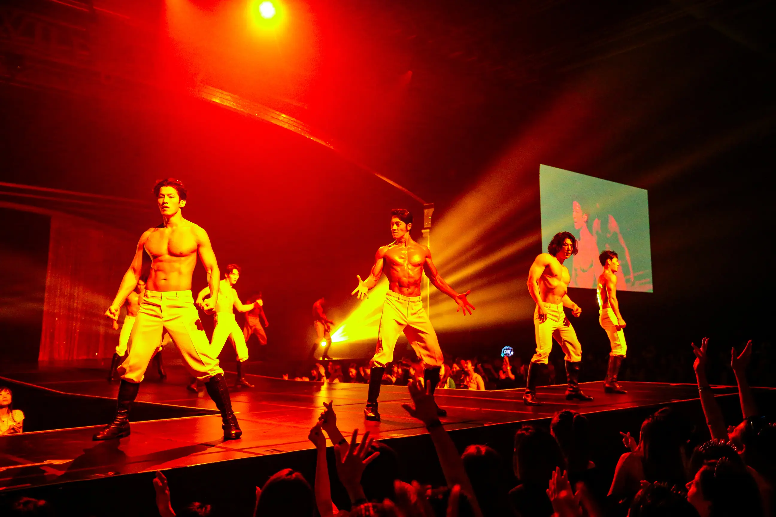 Wild Wild Show Wild Wild Show in Seoul - Photo 9