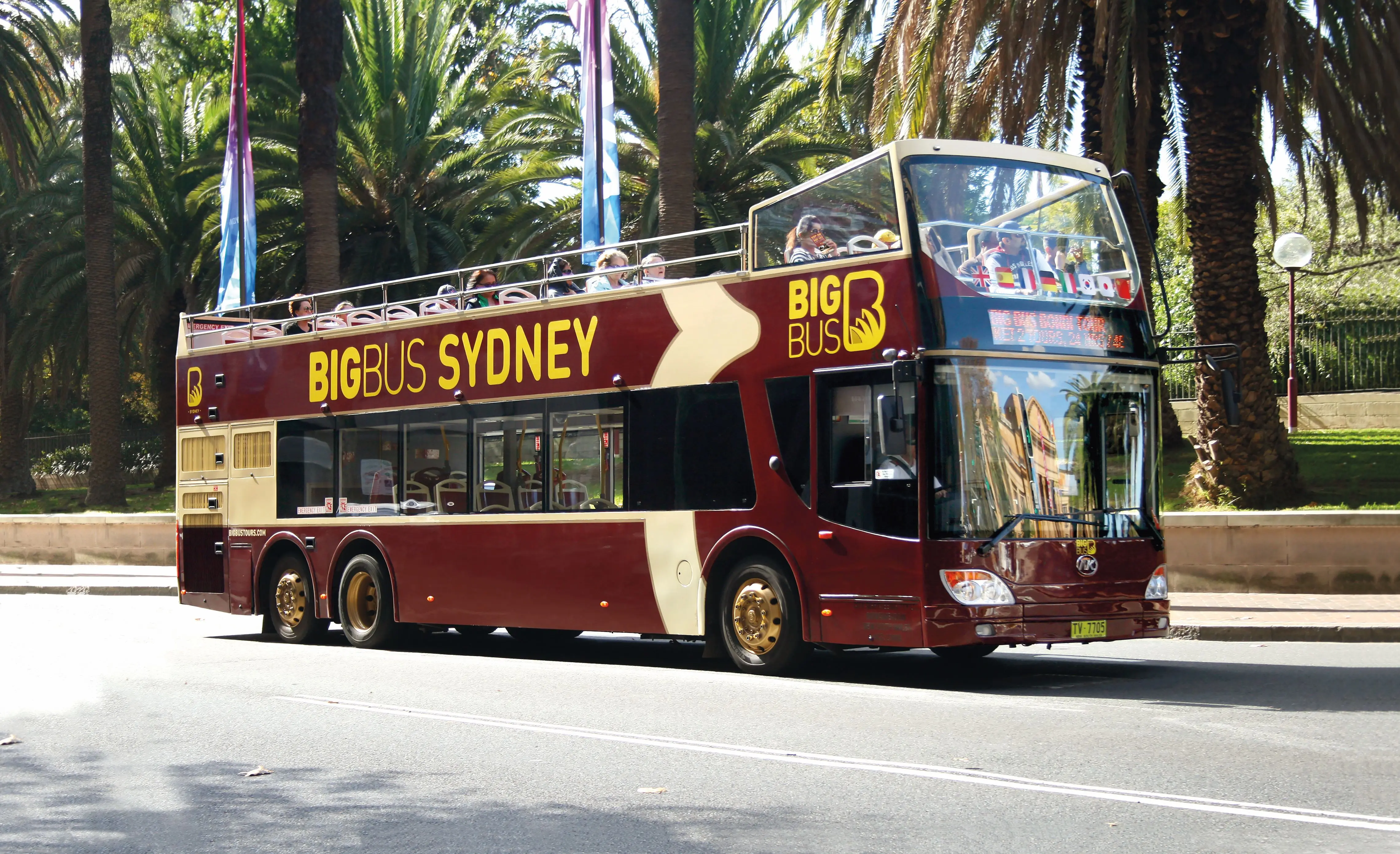 Big Bus Tours Sydney Hop-on, Hop-off Sightseeing Tour Big Bus Tours Sydney Hop-on, Hop-off Sightseeing Tour in Sydney - Photo 5