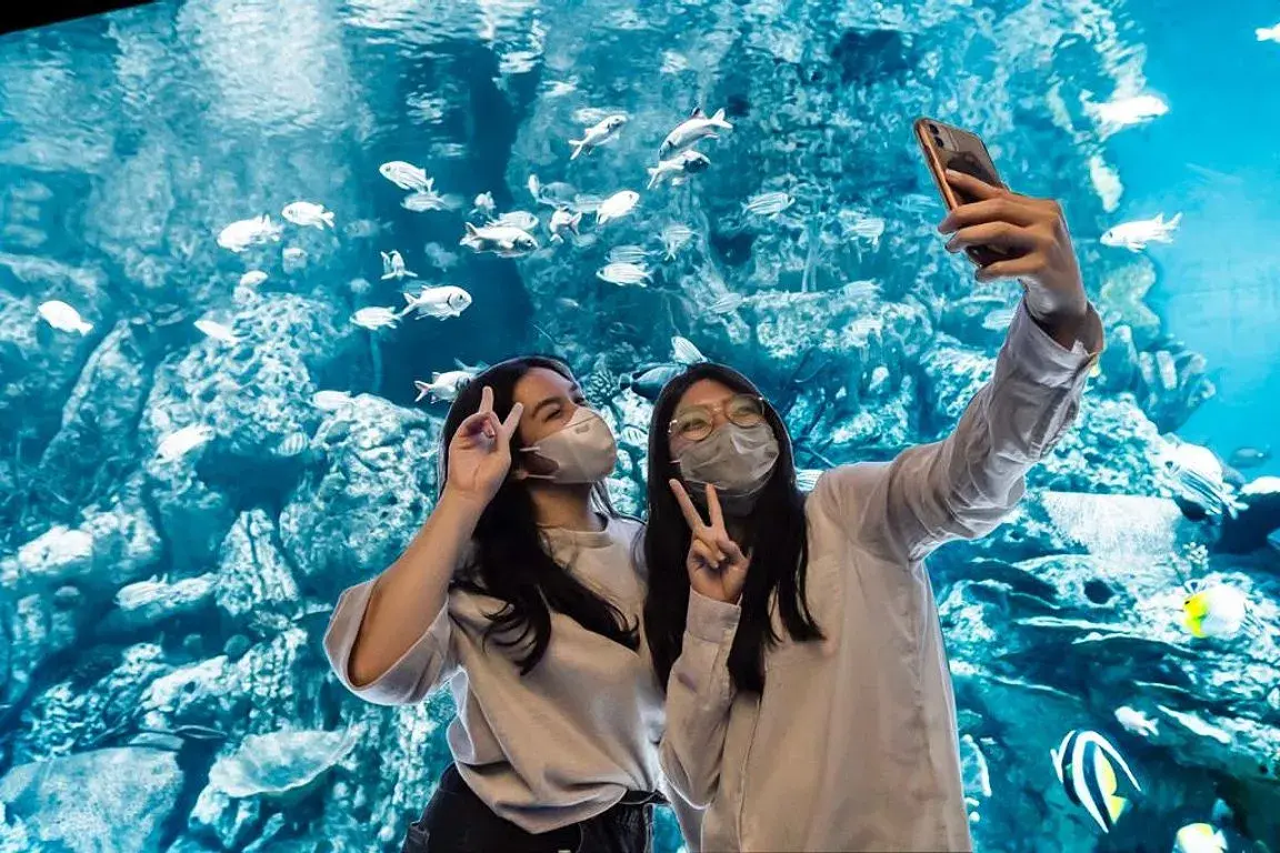 Jakarta Aquarium Safari in Jakarta - Photo 6