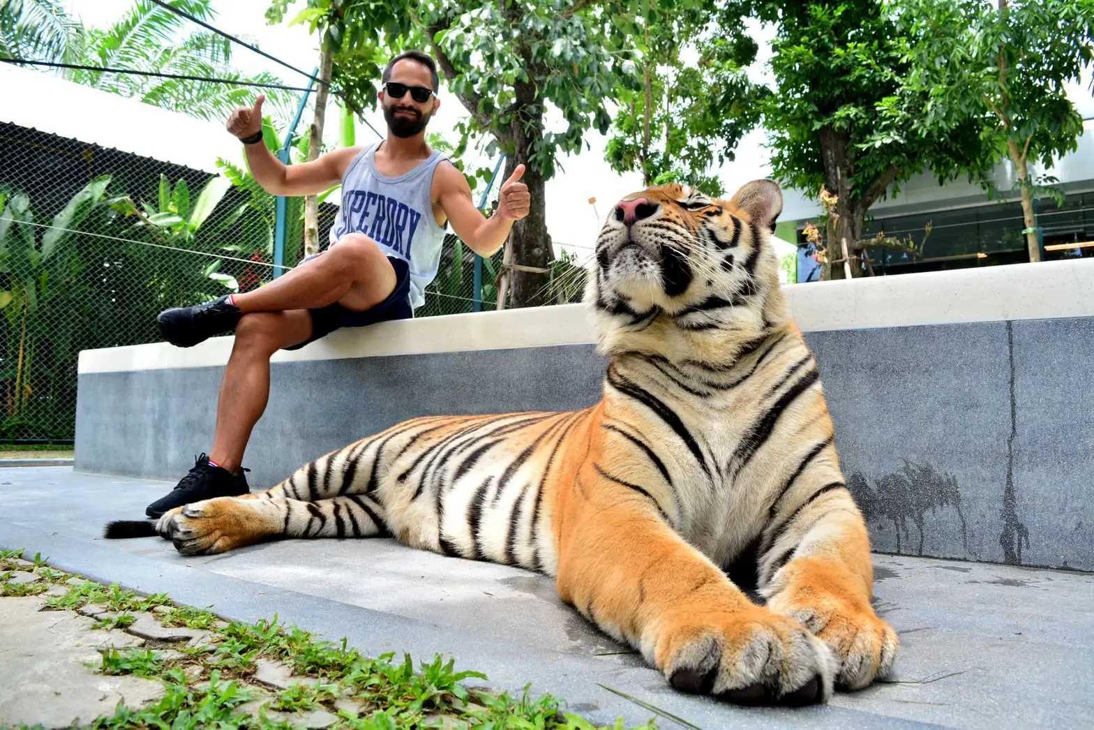 Tiger Park Big Buddha Phuket Tiger Park Big Buddha Phuket in Phuket - Photo 5
