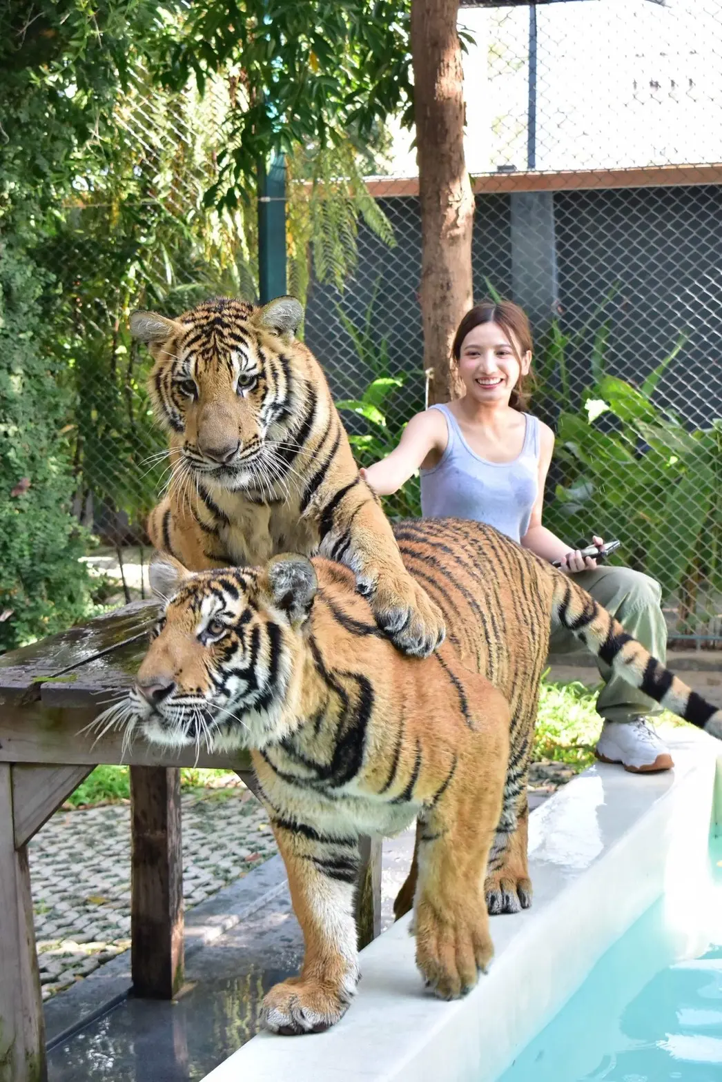Tiger Park Big Buddha Phuket Tiger Park Big Buddha Phuket in Phuket - Photo 8