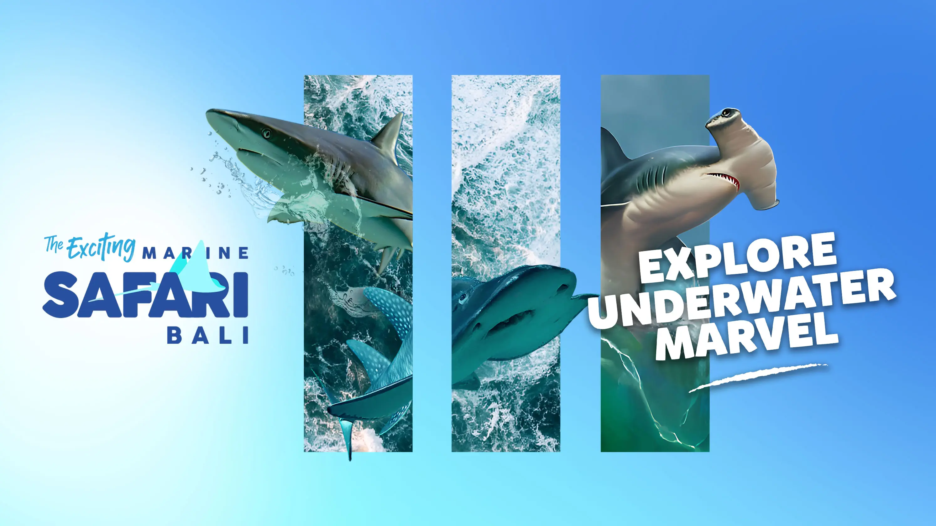 Marine Safari Bali (Oversea) in Bali