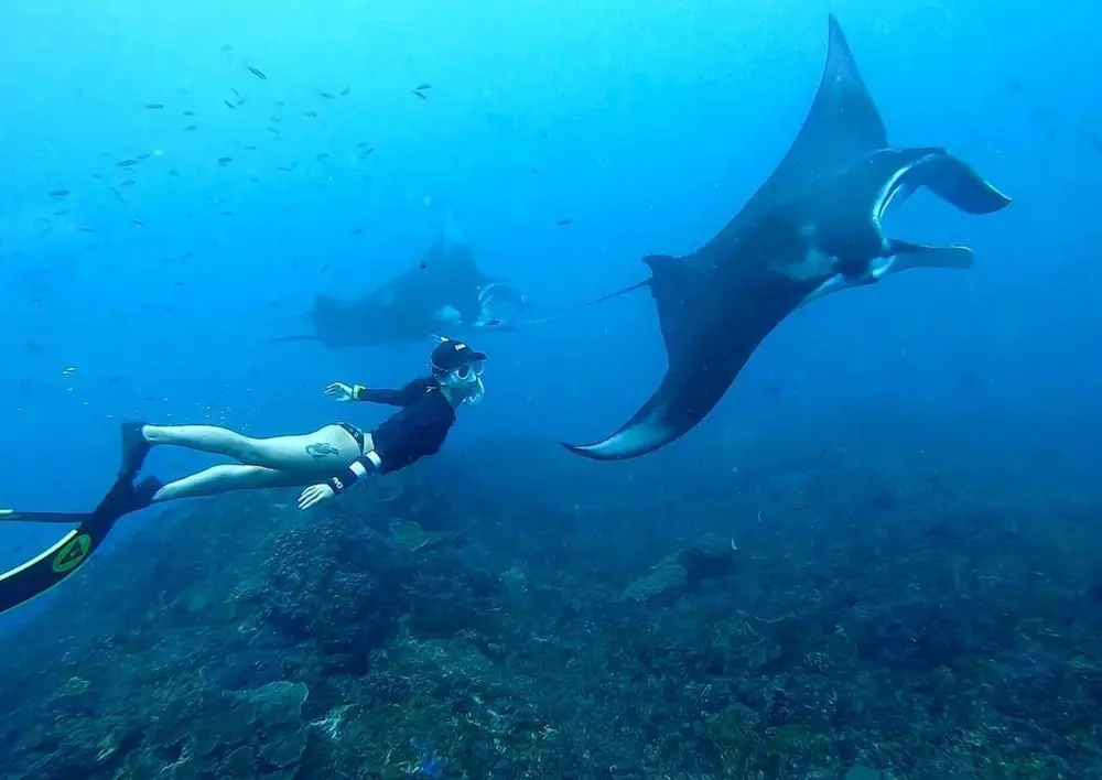 Nusa Penida : Sharing Snorkeling Adventure in Nusa Penida to 4 Spots Nusa Penida : Sharing Snorkeling Adventure in Nusa Penida to 4 Spots in Bali - Photo 2