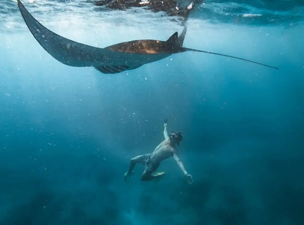 Nusa Penida : Sharing Snorkeling Adventure in Nusa Penida to 4 Spots Nusa Penida : Sharing Snorkeling Adventure in Nusa Penida to 4 Spots in Bali - Photo 4
