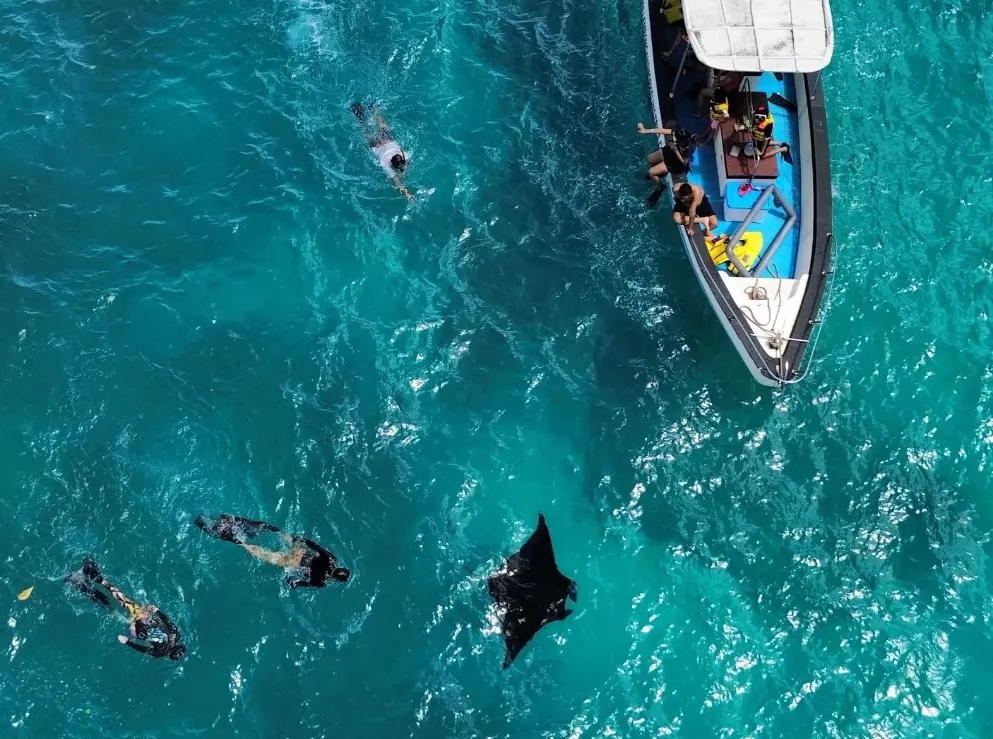 Nusa Penida : Sharing Snorkeling Adventure in Nusa Penida to 4 Spots Nusa Penida : Sharing Snorkeling Adventure in Nusa Penida to 4 Spots in Bali - Photo 6