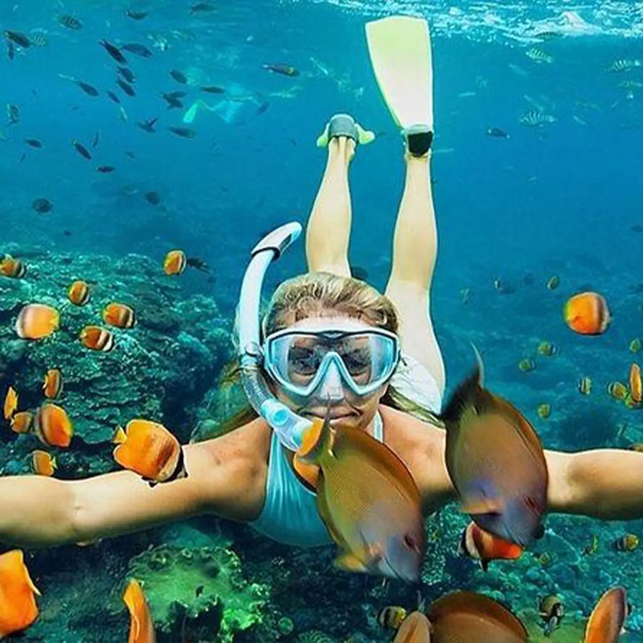 Nusa Penida : Sharing Snorkeling Adventure in Nusa Penida to 4 Spots Nusa Penida : Sharing Snorkeling Adventure in Nusa Penida to 4 Spots in Bali - Photo 7