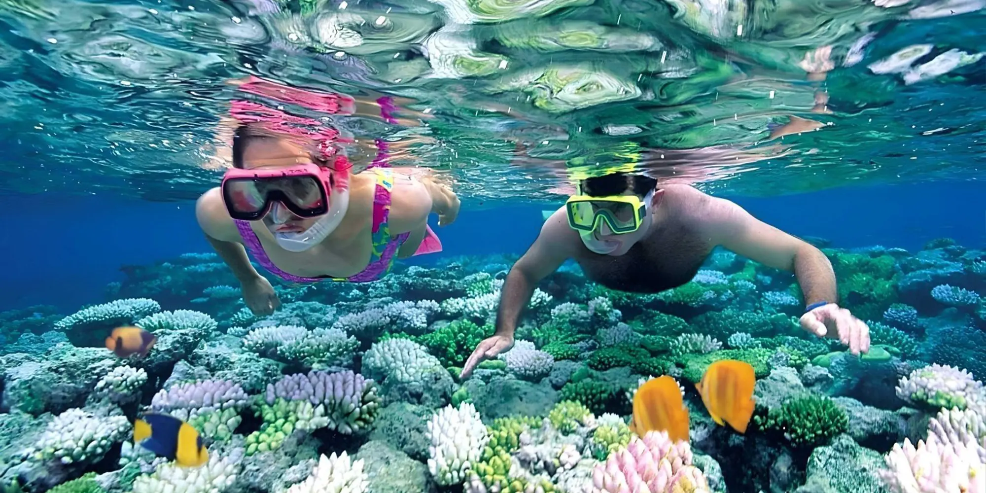 Nusa Penida : Sharing Snorkeling Adventure in Nusa Penida to 4 Spots in Bali