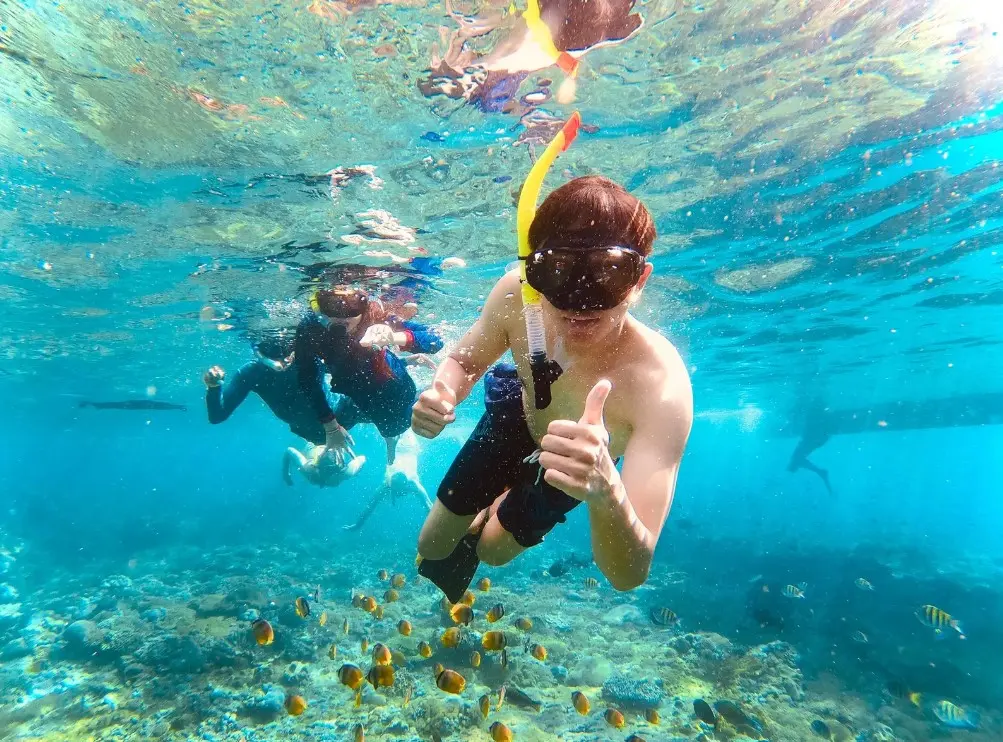 Nusa Penida : Sharing Snorkeling Adventure in Nusa Penida to 4 Spots Nusa Penida : Sharing Snorkeling Adventure in Nusa Penida to 4 Spots in Bali - Photo 11