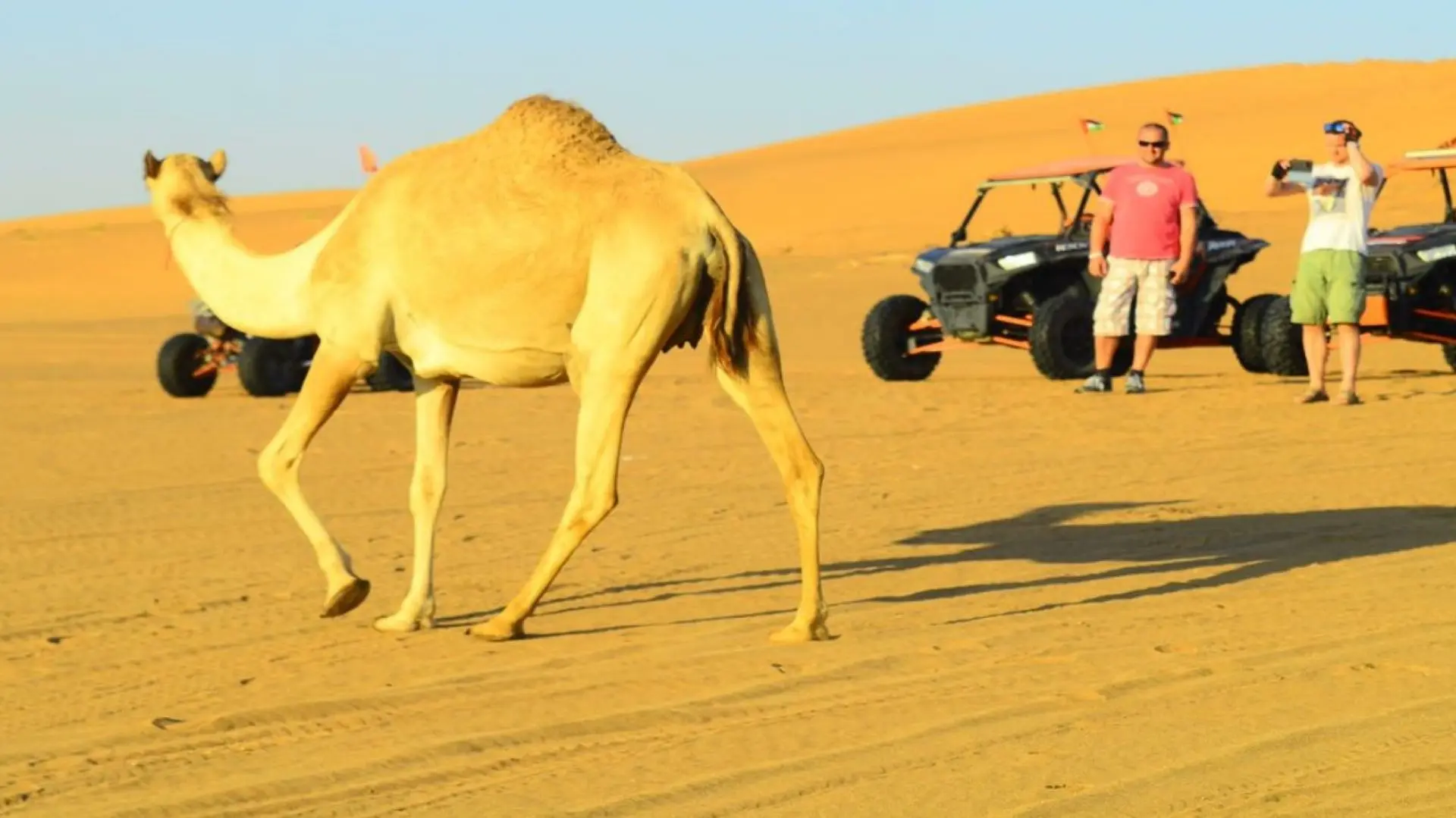 Ras Al Khaimah Afternoon Desert Safari Ras Al Khaimah Afternoon Desert Safari in Dubai - Photo 2