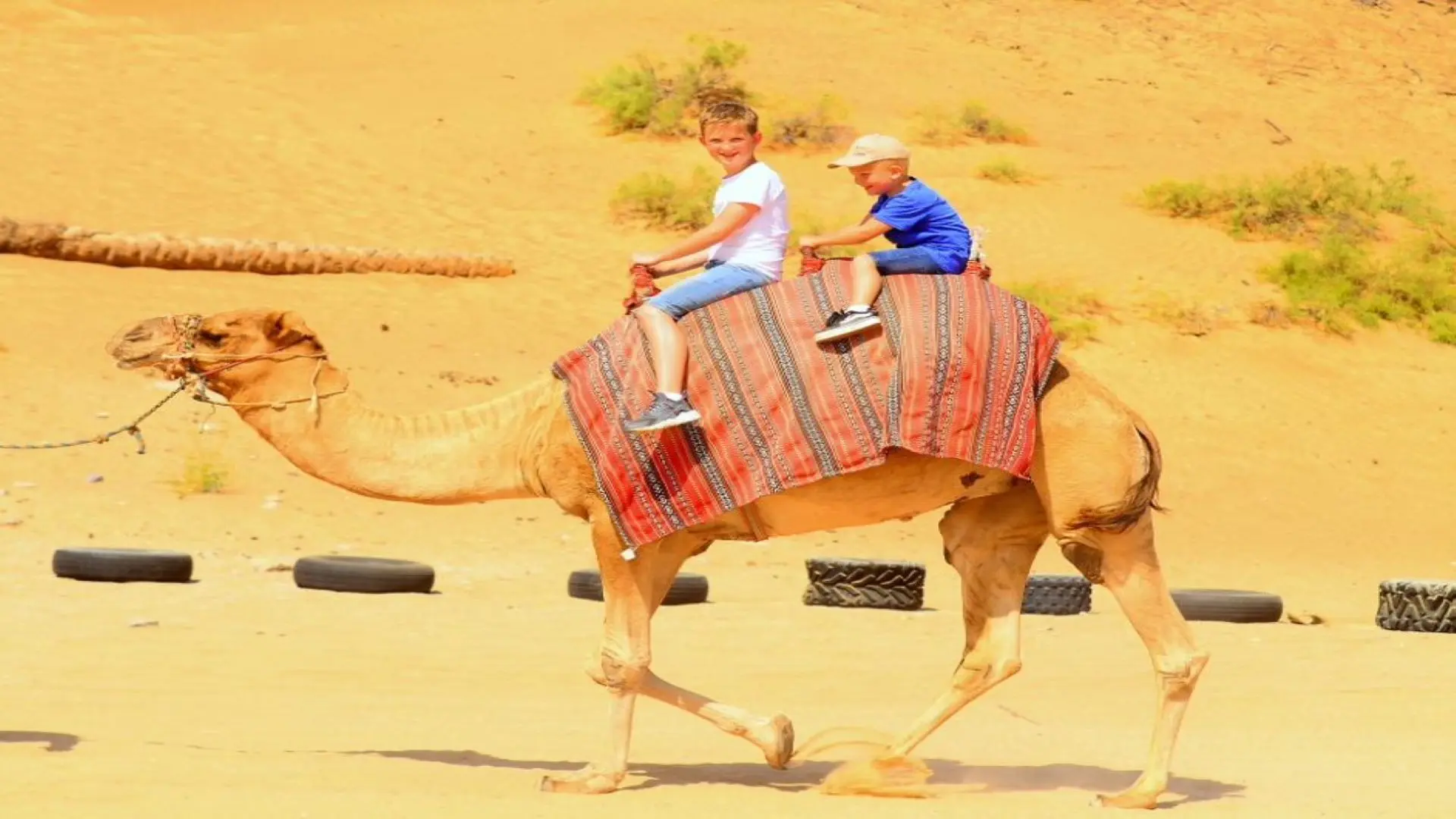 Ras Al Khaimah Afternoon Desert Safari Ras Al Khaimah Afternoon Desert Safari in Dubai - Photo 3