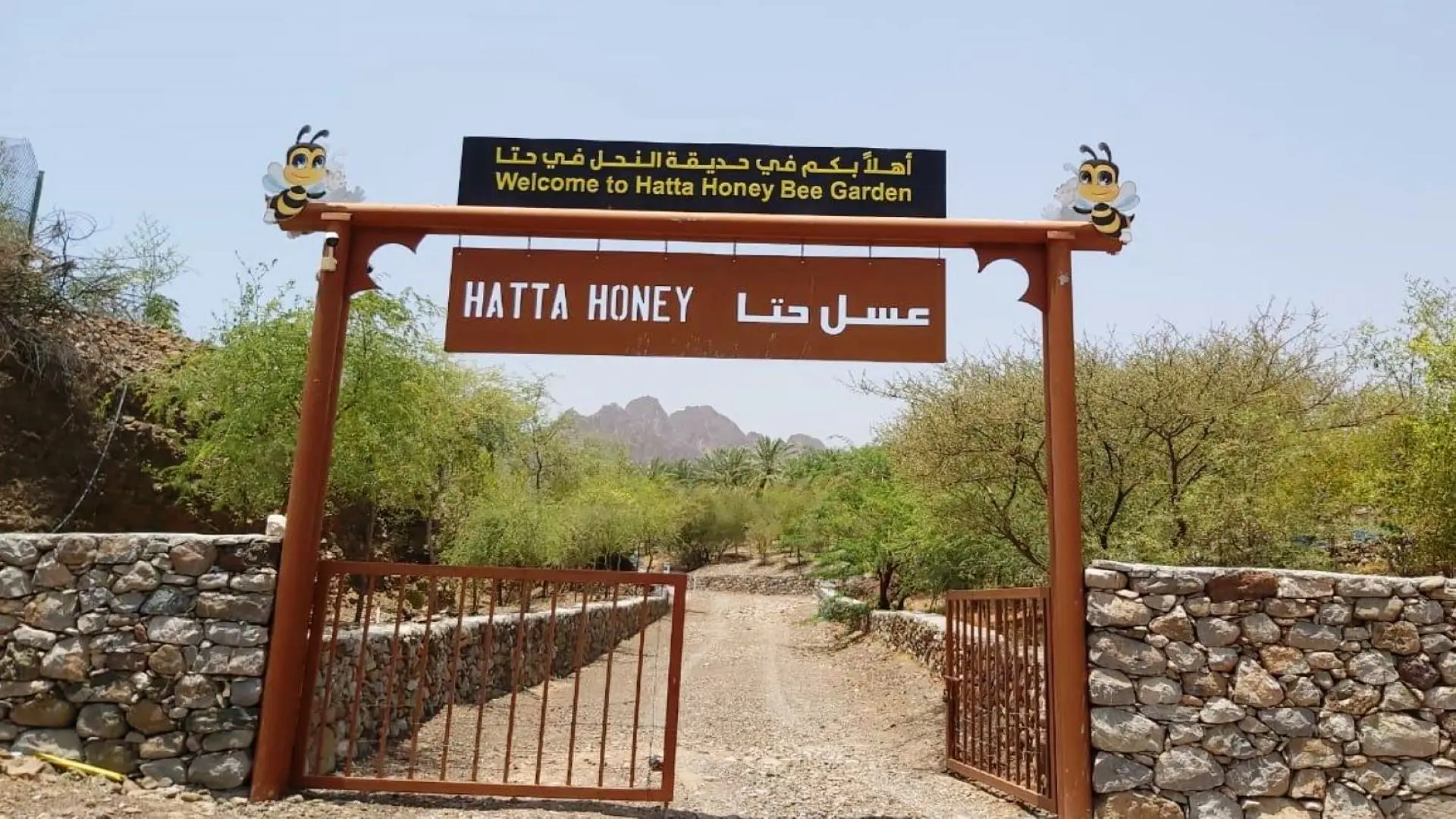 Private Hatta Safari with Visit to Hatta Honeybee Garden Private Hatta Safari with Visit to Hatta Honeybee Garden in Dubai - Photo 5