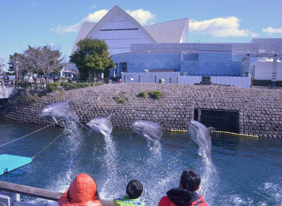 Kagoshima Aquarium Kagoshima Aquarium in Tokyo - Photo 2