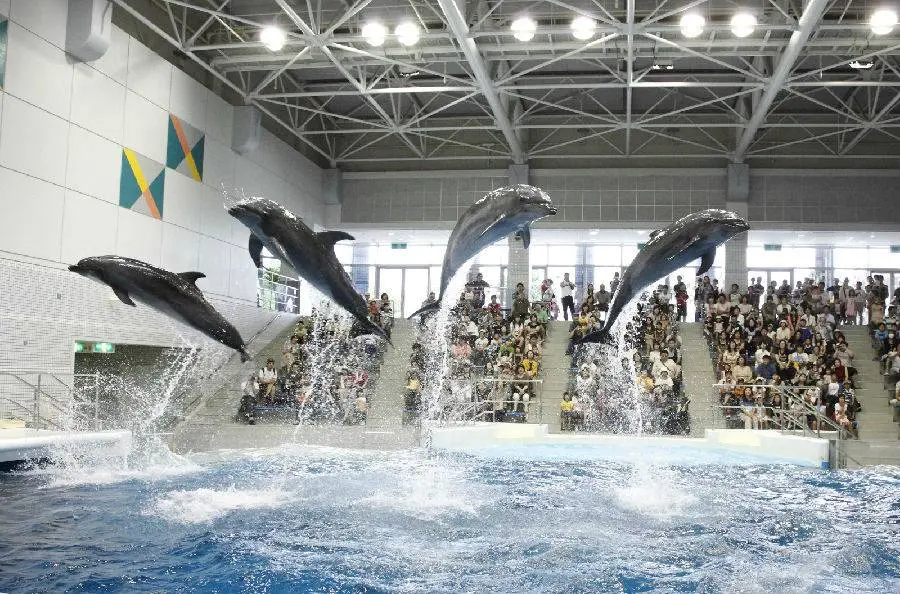 Kagoshima Aquarium Kagoshima Aquarium in Tokyo - Photo 6