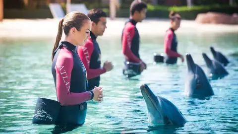 Atlantis Dolphin Swim in Dubai - Photo 3