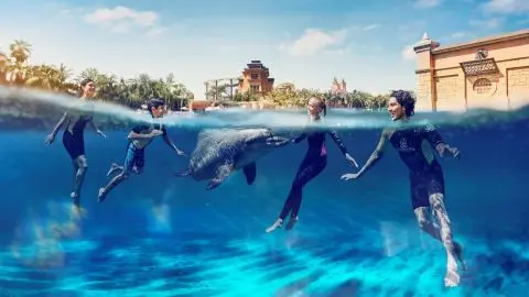 Atlantis Dolphin Swim in Dubai