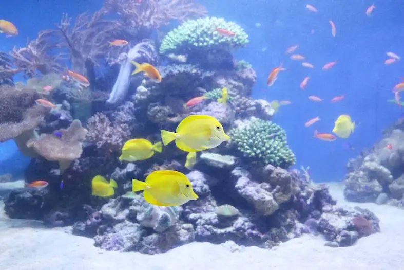 Yokohama Hakkeijima Sea Paradise in Tokyo - Photo 6