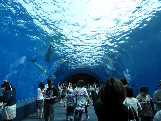 Yokohama Hakkeijima Sea Paradise in Tokyo