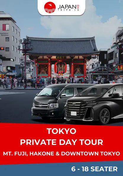 Private Tour Jepang – Tokyo | Mt. Fuji/Hakone & Downtown Tokyo in Tokyo