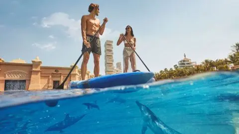 Atlantis Dolphin Paddle in Dubai