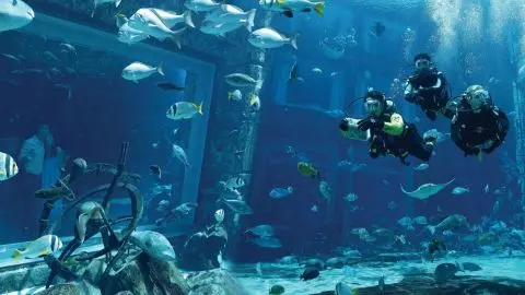 Atlantis Discover Scuba Dive in Dubai - Photo 2
