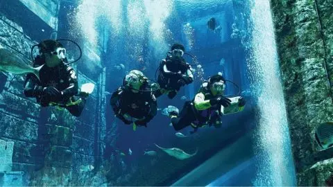 Atlantis Discover Scuba Dive in Dubai