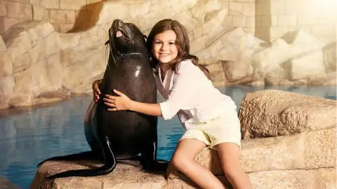 Atlantis Sea Lion Meet & Greet in Dubai