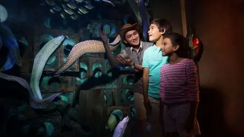 Atlantis Aquaventure - One Day Superpass in Dubai - Photo 3