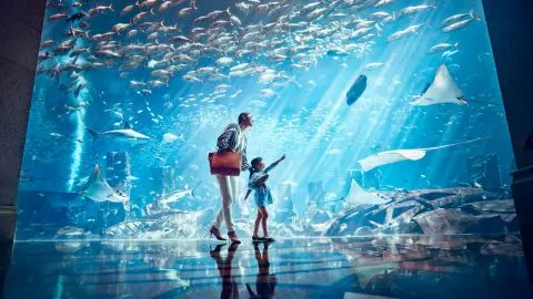 Atlantis Aquaventure - One Day Superpass in Dubai - Photo 5
