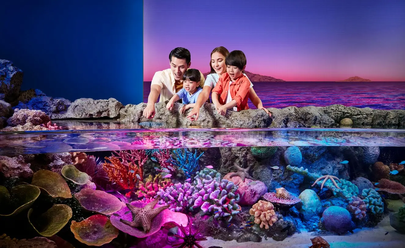 Sealife Bangkok + Madame Tussauds Bangkok Bundle (Group Rate) Sealife Bangkok + Madame Tussauds Bangkok Bundle (Group Rate) in Bangkok - Photo 7