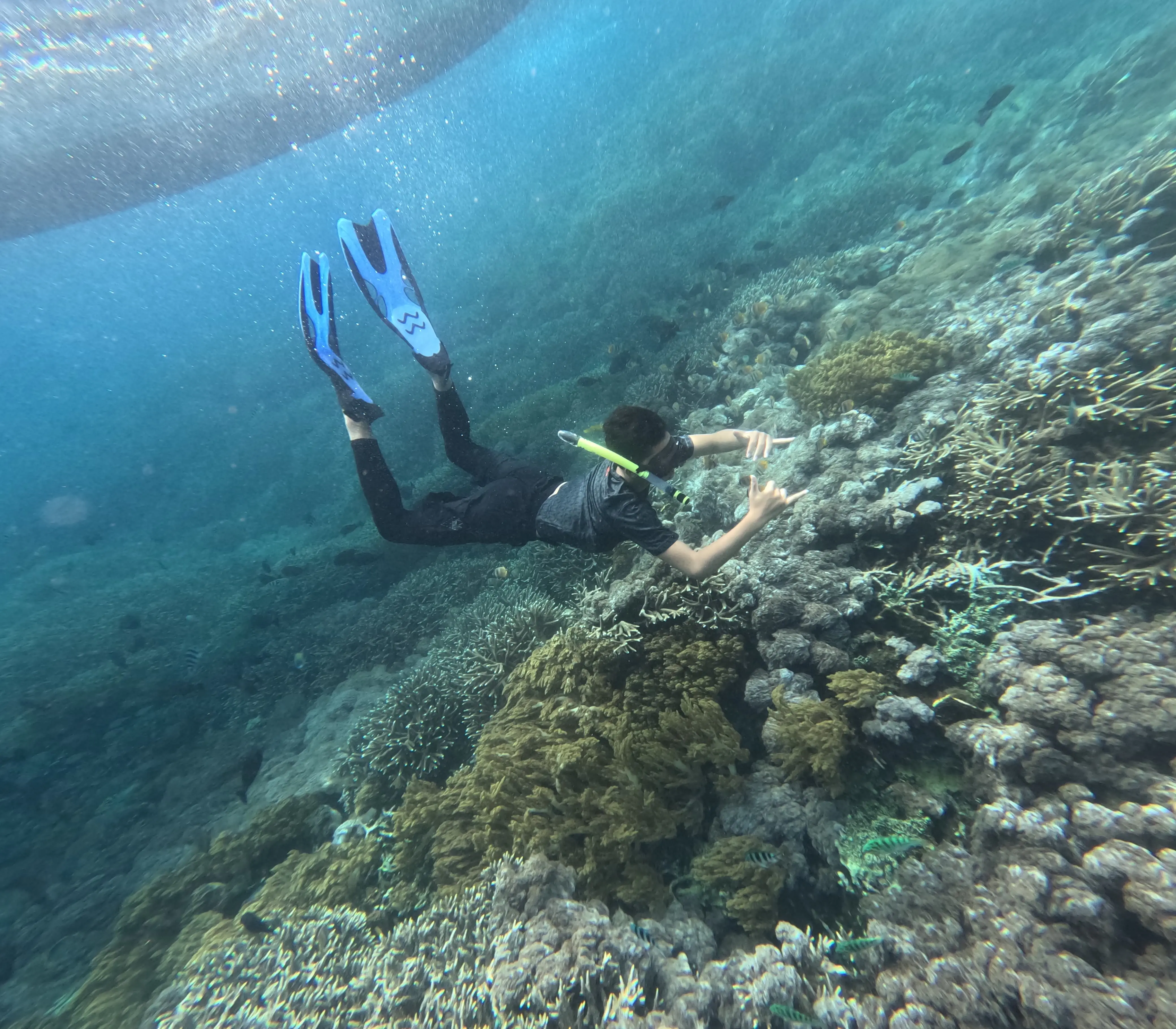 4 Point Snorkeling Safari in Bali