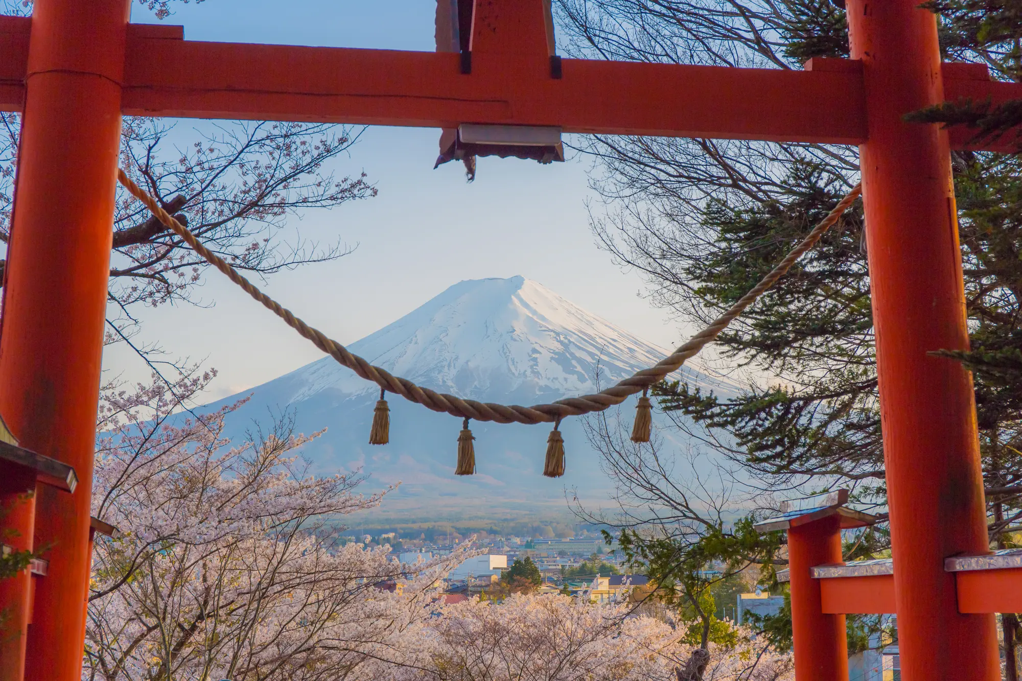 Mt. Fuji 5th Station・Arakurayama Sengen Park in Tokyo - Photo 4