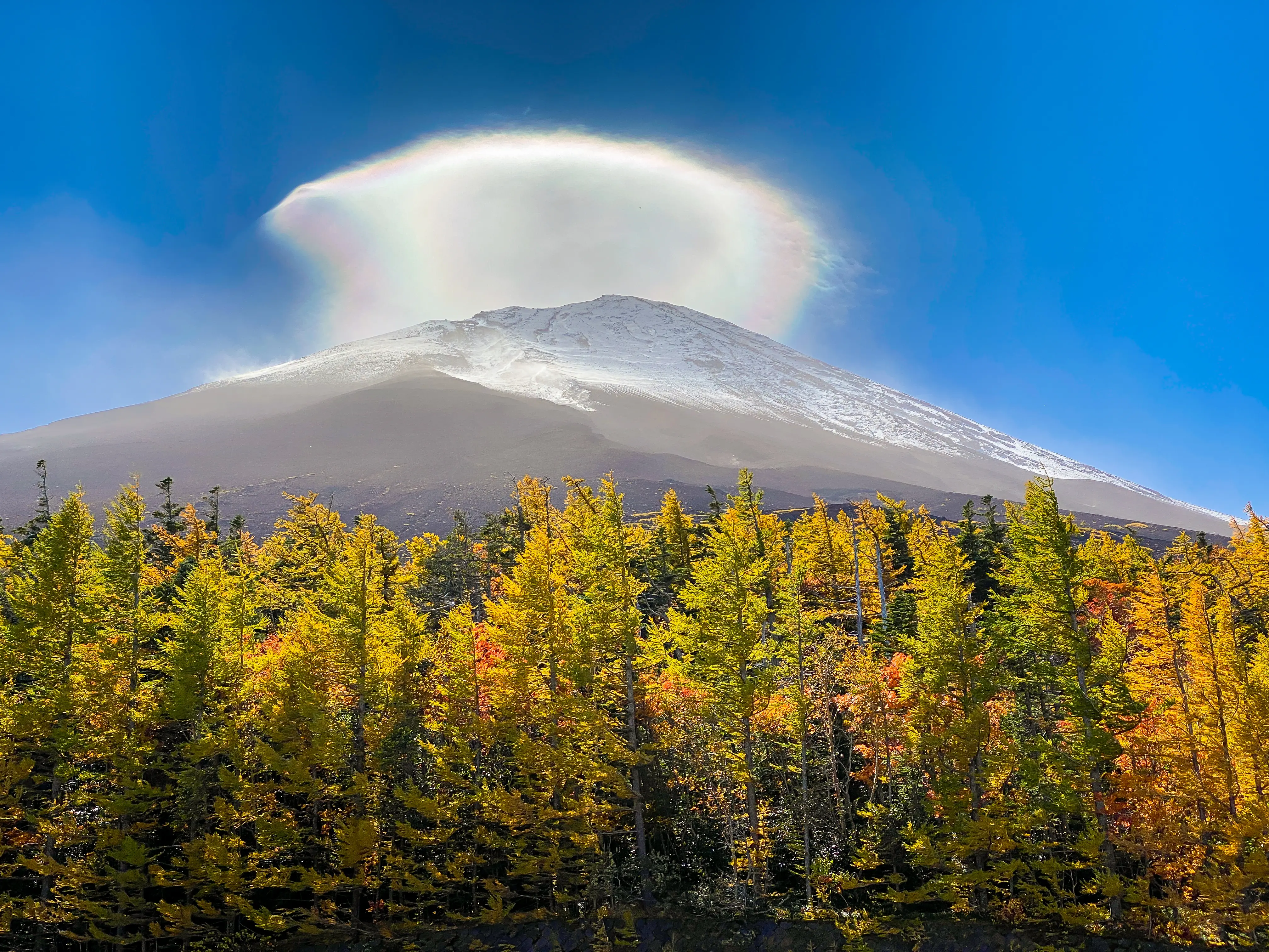 Mt. Fuji 5th Station・Arakurayama Sengen Park in Tokyo - Photo 9